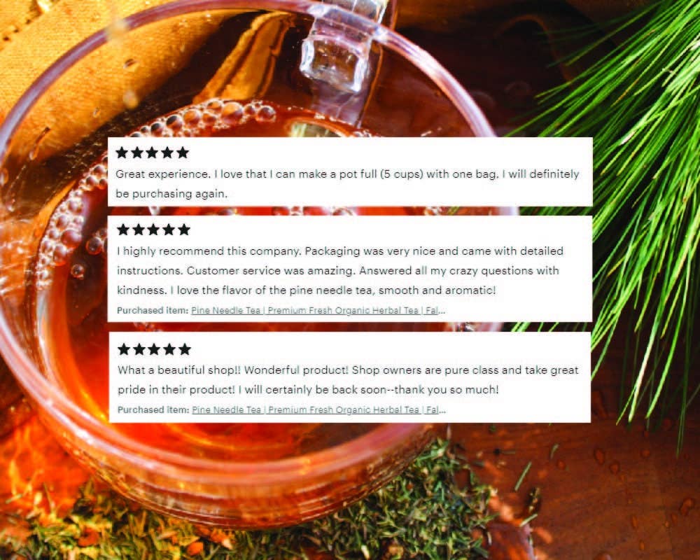 Premium Pine Needle Tea with Juniper + Thyme