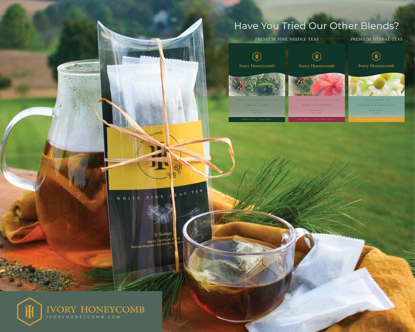 Premium Pine Needle Tea with Juniper + Thyme