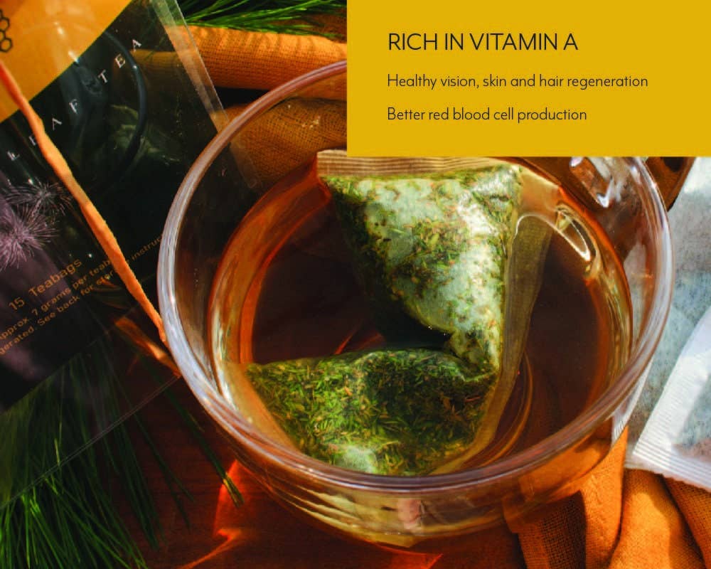 Premium Pine Needle Tea with Juniper + Thyme