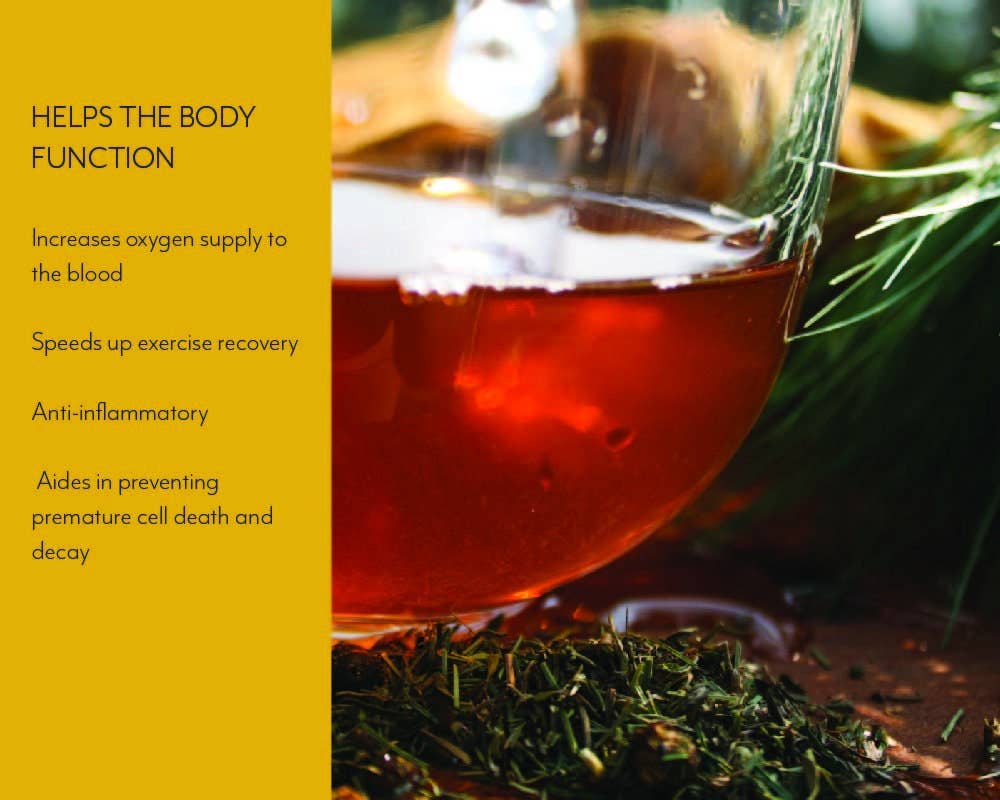 Premium Pine Needle Tea with Juniper + Thyme